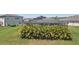 Beautiful backyard featuring a screened-in lanai area, and professional landscaping, offering a perfect private outdoor living at 30214 Skylark Dr, Wesley Chapel, FL 33545