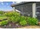 Exterior view of the backyard, showcasing the screened patio, manicured landscaping, and colorful flower beds at 4165 San Severo Rd, Wesley Chapel, FL 33543