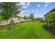 Lush backyard featuring vibrant green grass and privacy landscaping at 4165 San Severo Rd, Wesley Chapel, FL 33543