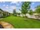 Well-maintained backyard with lush green grass, mature trees, and partial fence at 4165 San Severo Rd, Wesley Chapel, FL 33543