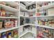 Well-stocked walk-in pantry providing lots of space for organized storage at 4165 San Severo Rd, Wesley Chapel, FL 33543