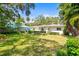Spacious backyard with a well-maintained lawn, privacy hedges, and mature trees at 417 Broadway, Dunedin, FL 34698