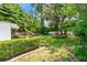 Large backyard featuring a well-maintained lawn, mature trees, a white fence, and established landscaping at 417 Broadway, Dunedin, FL 34698