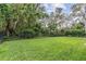 Spacious backyard featuring lush green grass and privacy fence at 6038 Palomaglade Dr, Lithia, FL 33547