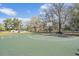 Community basketball court surrounded by mature trees, offering a great place for residents to stay active at 6038 Palomaglade Dr, Lithia, FL 33547