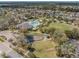 Aerial view of the neighborhood community pool and play areas amidst lush greenery at 6038 Palomaglade Dr, Lithia, FL 33547