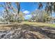 Expansive community green space with mature trees, offering a peaceful area for relaxation and recreation at 6038 Palomaglade Dr, Lithia, FL 33547