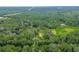 Expansive aerial view showcasing a home amidst a dense forest landscape at 6234 Neff Lake Rd, Brooksville, FL 34601
