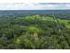 Vast aerial shot showcasing the property's green expanses with glimpses of homes throughout the verdant land at 6234 Neff Lake Rd, Brooksville, FL 34601