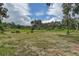 Picturesque open field featuring scattered trees and lush greenery, ideal for recreation at 6234 Neff Lake Rd, Brooksville, FL 34601