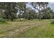 Picturesque field with tall grass and scattered trees, offering a serene natural setting at 6234 Neff Lake Rd, Brooksville, FL 34601