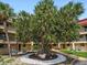 Beautiful community landscaping with mature trees and manicured gardens creating a serene atmosphere at 868 Bayway Blvd # 206, Clearwater Beach, FL 33767
