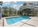 Refreshing pool enclosed by a screen, surrounded by lush landscaping, offering privacy and tropical charm at 9203 Meadow Lane Ct, Tampa, FL 33647