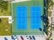 Two beautifully surfaced and fenced tennis courts, offering a prime recreational amenity at 93 Boca Ciega Point N Blvd # 93, St Petersburg, FL 33708