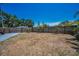 The backyard features a long driveway, a wooden fence, and small palm trees under a clear sky at 1101 Essex N Dr, St Petersburg, FL 33710