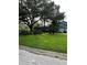 Well-manicured front yard with mature trees and lush landscaping at 135 Pinewinds Blvd, Oldsmar, FL 34677