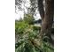 Lush backyard landscaping surrounding the residence at 135 Pinewinds Blvd, Oldsmar, FL 34677