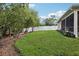 Spacious backyard with a well-maintained lawn, white vinyl fence, and mature trees, perfect for outdoor activities at 13813 Sigler St, Riverview, FL 33579