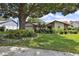 Charming home with lush front yard, mature trees, and manicured landscaping at 16517 Norwood Dr, Tampa, FL 33624