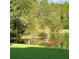 Scenic backyard featuring a deer and a crane by a tranquil pond surrounded by lush greenery at 19107 Avenue Bayonnes, Lutz, FL 33558