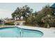 Beautiful pool with lush greenery around creates a tranquil backyard oasis at 1980 Forked Creek Dr, Englewood, FL 34223