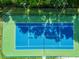 Overhead view of a blue community tennis court with a green border and surrounded by a metal fence at 27012 Sea Breeze Way, Wesley Chapel, FL 33544