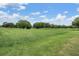Scenic view of the golf course with neatly trimmed greens and beautiful trees at 2769 St Andrews Blvd, Tarpon Springs, FL 34688