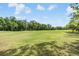 Beautiful lush green grass on the golf course with blue skies and scattered clouds above at 2769 St Andrews Blvd, Tarpon Springs, FL 34688