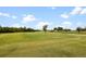 Scenic golf course view with lush green fairways, mature trees, and blue skies, perfect for golf enthusiasts at 2814 Graphite Ct, Valrico, FL 33594