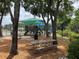 Park area featuring a playground and picnic tables shaded by mature trees at 29228 Yarrow Dr, Wesley Chapel, FL 33543