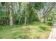 Spacious backyard with mature trees, providing a private and serene outdoor space at 3205 Audubon Ct, Tarpon Springs, FL 34688