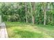 Expansive backyard with lush green grass and mature trees, offering privacy and tranquility at 3205 Audubon Ct, Tarpon Springs, FL 34688