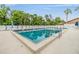 Community pool with plenty of seating and views of surrounding greenery and palm trees at 3205 Audubon Ct, Tarpon Springs, FL 34688