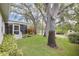 Lush backyard with mature trees and a screened-in patio at 3569 Oak Lake Dr, Palm Harbor, FL 34684