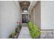 Inviting front entrance featuring a decorated door, attractive planters, and a well-maintained walkway at 35819 Diamond Head Ct, Zephyrhills, FL 33541