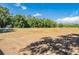 A sprawling open field with mature trees, ideal for recreational activities and community events at 4708 Ranch Grove Ct, Valrico, FL 33596