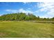 Beautiful green backyard with a small pond surrounded by trees, and a bright blue sky at 4831 Rosatti Rd, Wesley Chapel, FL 33543