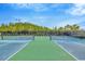 Well-maintained pickleball courts provide an active and social recreational space for residents to enjoy a friendly game at 4831 Rosatti Rd, Wesley Chapel, FL 33543