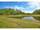 Beautiful green backyard with a tranquil pond and a variety of trees at 4831 Rosatti Rd, Wesley Chapel, FL 33543