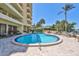 Bright and sunny view of a blue condominium pool with palm trees, chaise lounges and patio tables at 5701 Mariner St # 701, Tampa, FL 33609