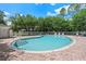 Community pool surrounded by brick pavers and lush greenery with lots of seating at 8612 Hunters Key Cir, Tampa, FL 33647
