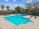 Community pool with several lounge chairs with a bright blue sky and some scattered trees in the background at 10628 Massimo Dr, Wimauma, FL 33598