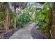Landscaped walkway with mature trees and lush greenery at 11162 Kapok Grand Cir, Madeira Beach, FL 33708