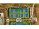 Aerial view of the pickleball courts and tennis courts surrounded by palm trees and manicured landscaping at 11817 Glen Wessex Ct, Tampa, FL 33626
