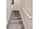 Carpeted stairway with a white handrail providing safe access to the upper level at 13529 Wild Ginger St, Riverview, FL 33579