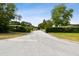 Quiet street with lush green trees and shrubbery lining the roadway at 3106 Ash Ct, Dunedin, FL 34698