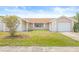 Inviting exterior with mature tree and well-manicured lawn at 3431 Springfield Dr, Holiday, FL 34691