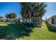 Lush backyard with mature palm trees offering shade at 445 Noble Faire Dr, Sun City Center, FL 33573