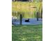 Otter lounging on the edge of a dock on a tranquil pond at 916 Shangri La Dr, Seffner, FL 33584