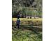 watching ducks from a fenced pond in a well maintained backyard at 916 Shangri La Dr, Seffner, FL 33584